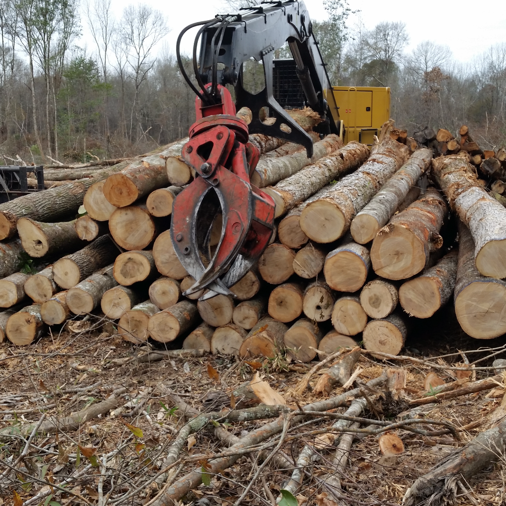sizemore timberland management timber sales